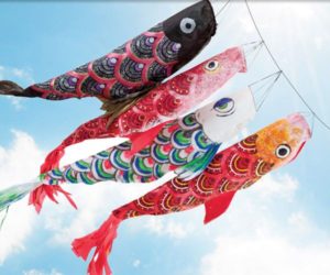 Koi Kites