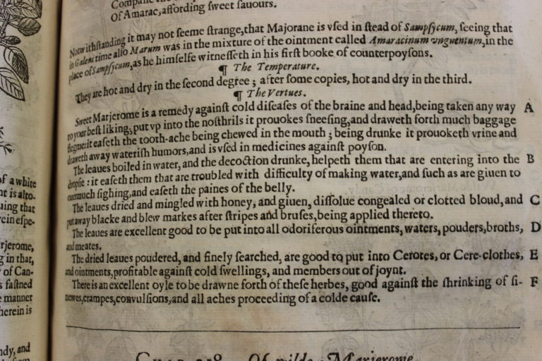 Medieval Medical Treatments, Part II A Cure For Your Cold Exeter