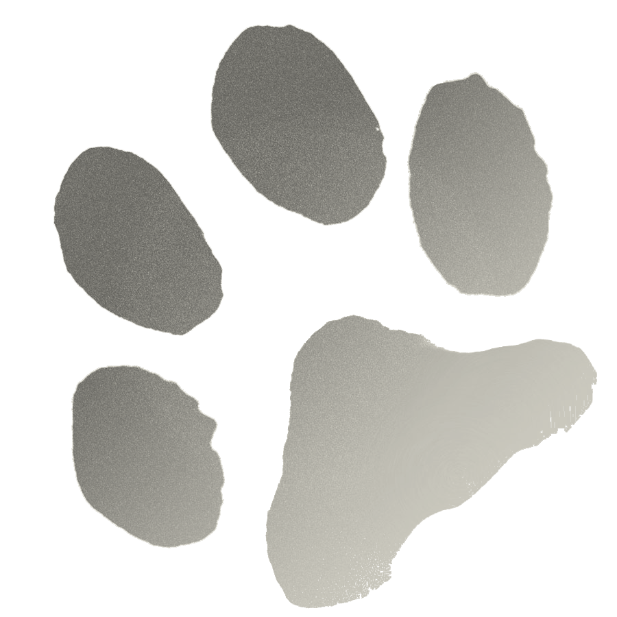 pawprintfadetransparent Exeter Cathedral