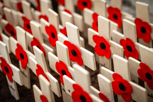 poppies 3