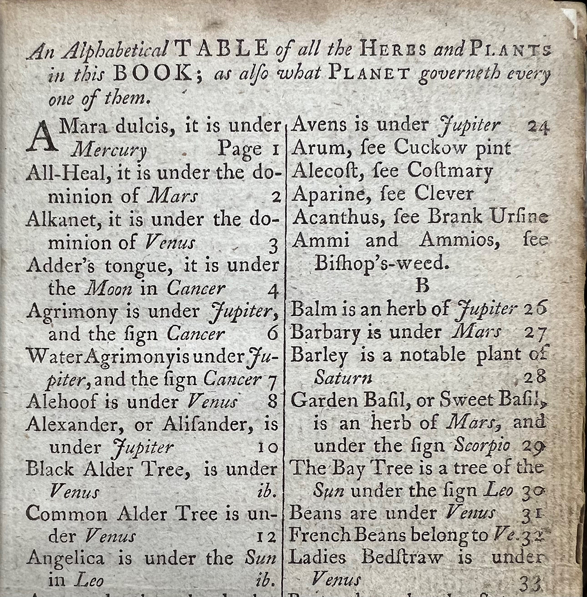 Cathedral Life_20240209_Mars in herbal medicine copy