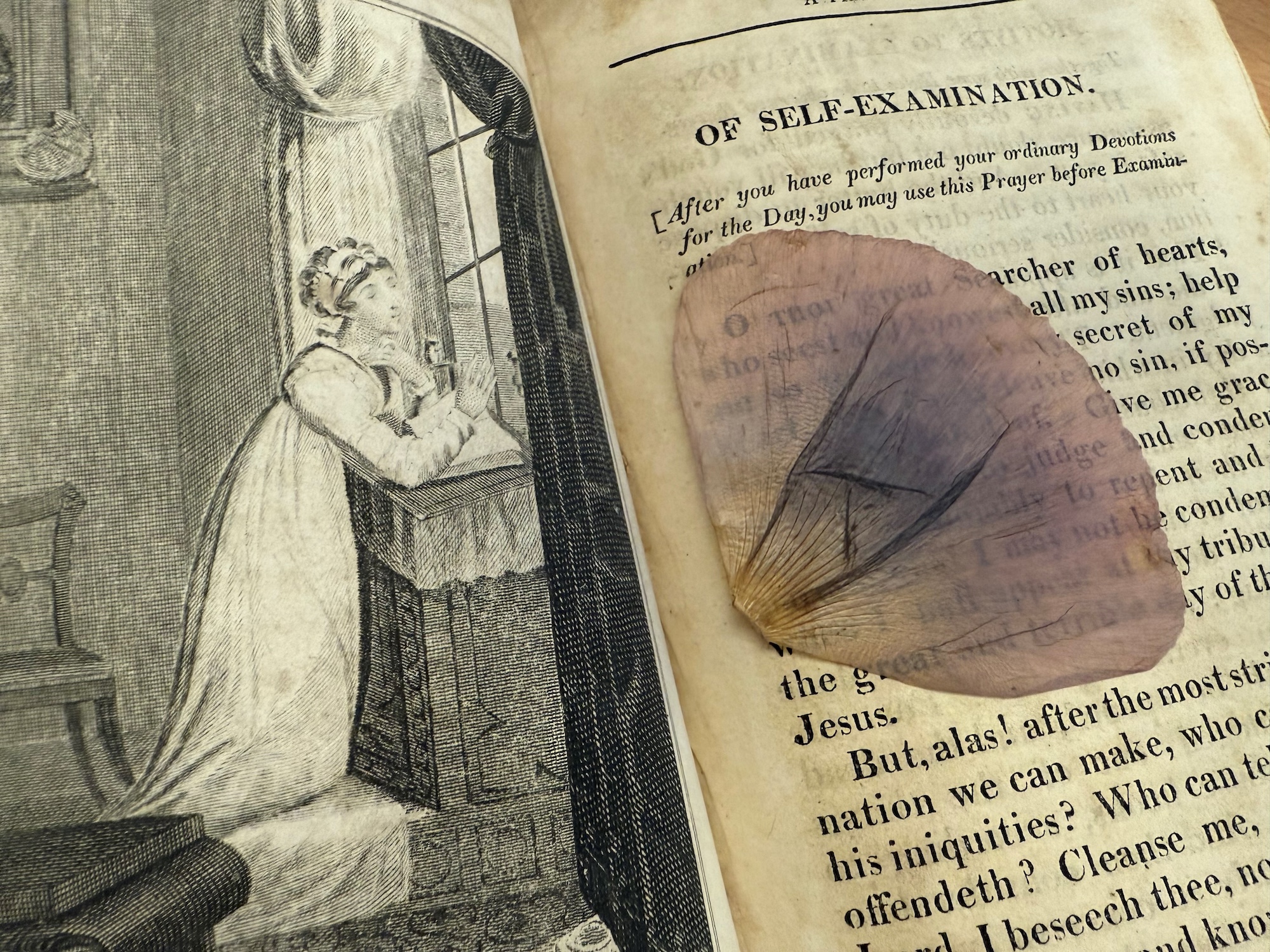 William-Melmoth-web