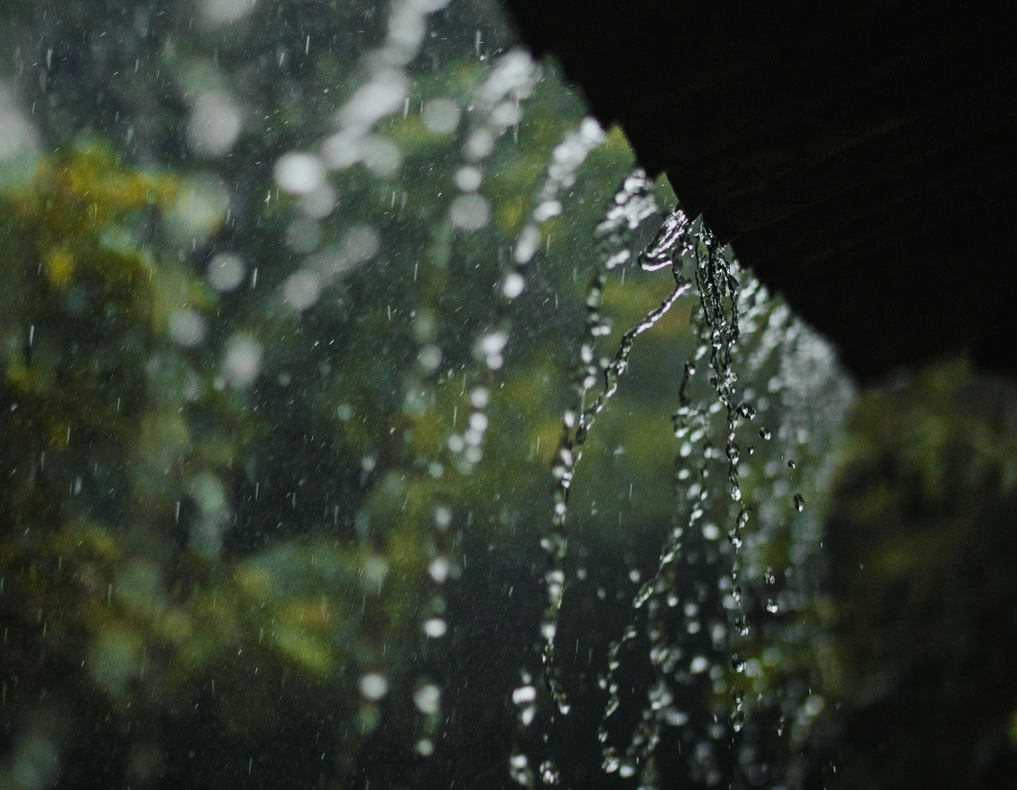 rainmaker