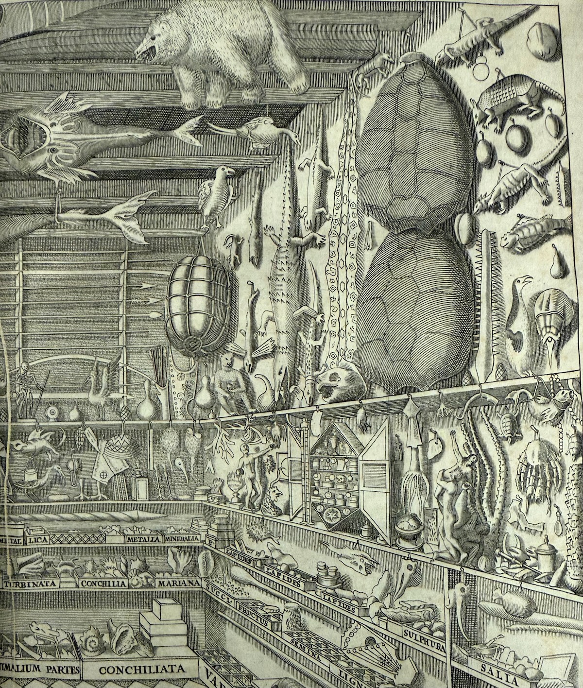 Cathedral Life_20260313_British Science Week
