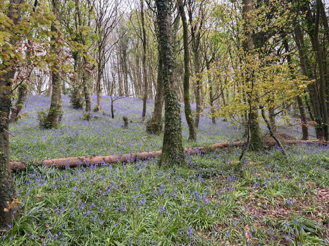 Holy Thought image 1