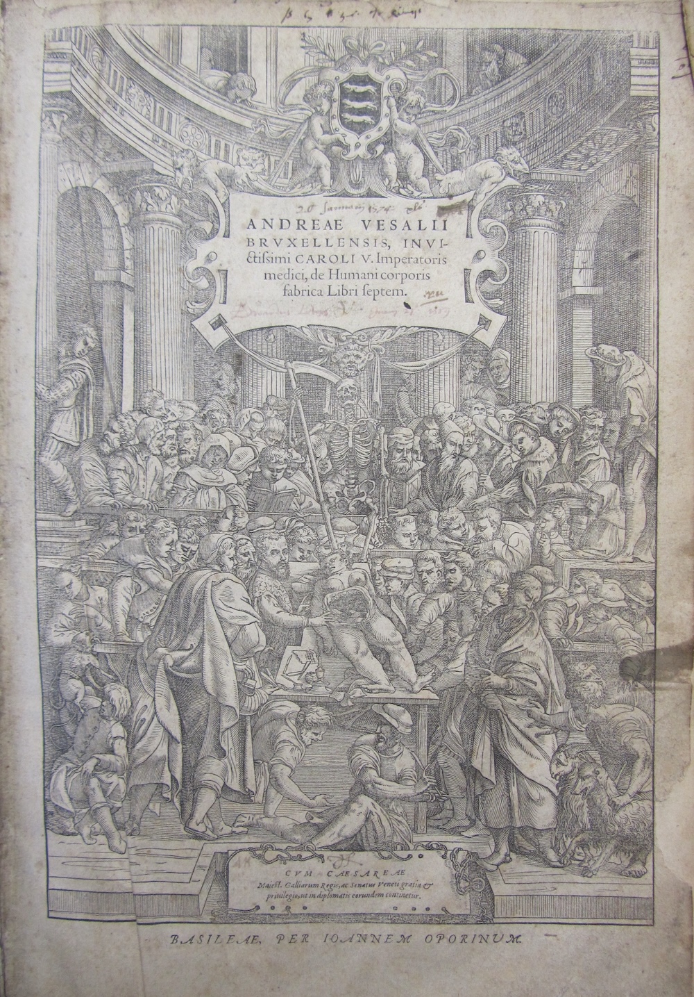 Vesalius 2 2